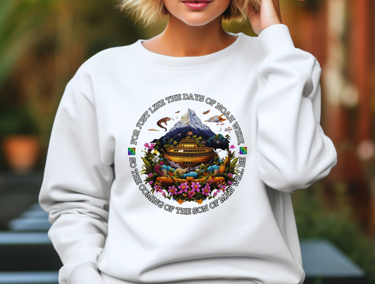 Noah’s Ark Sweatshirt – “But Noah found favor in the eyes of the LORD.” Genesis 6:8 | Christian Sweatshirt for Men, Women, and Couples, Jesus, GOD, Religious Gift, Designer Sweater, Mom, Friend