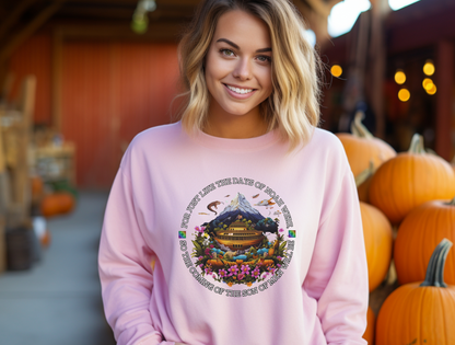 Noah’s Ark Sweatshirt – “But Noah found favor in the eyes of the LORD.” Genesis 6:8 | Christian Sweatshirt for Men, Women, and Couples, Jesus, GOD, Religious Gift, Designer Sweater, Mom, Friend