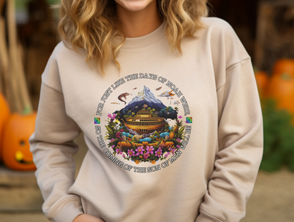 Noah’s Ark Sweatshirt – “But Noah found favor in the eyes of the LORD.” Genesis 6:8 | Christian Sweatshirt for Men, Women, and Couples, Jesus, GOD, Religious Gift, Designer Sweater, Mom, Friend