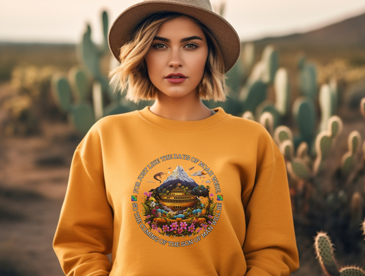 Noah’s Ark Sweatshirt – “But Noah found favor in the eyes of the LORD.” Genesis 6:8 | Christian Sweatshirt for Men, Women, and Couples, Jesus, GOD, Religious Gift, Designer Sweater, Mom, Friend