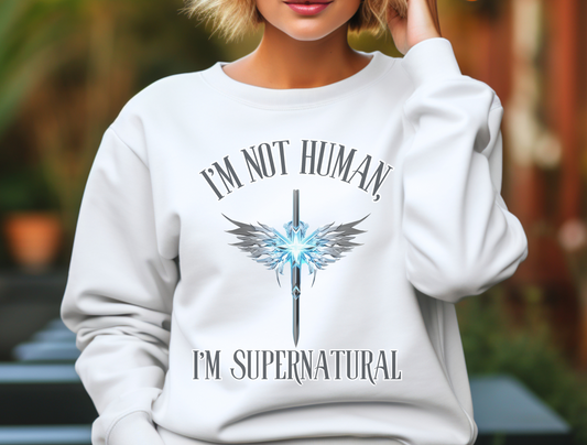 “I’m Not Human, I Am Supernatural” Sweatshirt – “You are from God, little children, and have overcome them, because greater is He who iok thanks in you than he who is in the world.” 1 John 4:4 | Christian Sweatshirt for Men, Jesus, GOD, Faith Gift